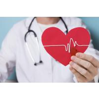 12-ти канальный Холтер - эффективный способ контроля сердечного ритма в клинике АльфаМед