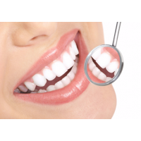 Каждый зуб играет важную роль в поддержании здоровья полости рта