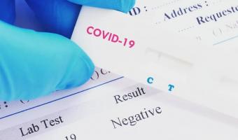 ПЦР-тест и тест на антитела к коронавирусу: как разобраться в результатах?