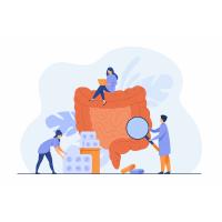 СИБР — дань моде или «прорыв» в гастроэнтерологии?